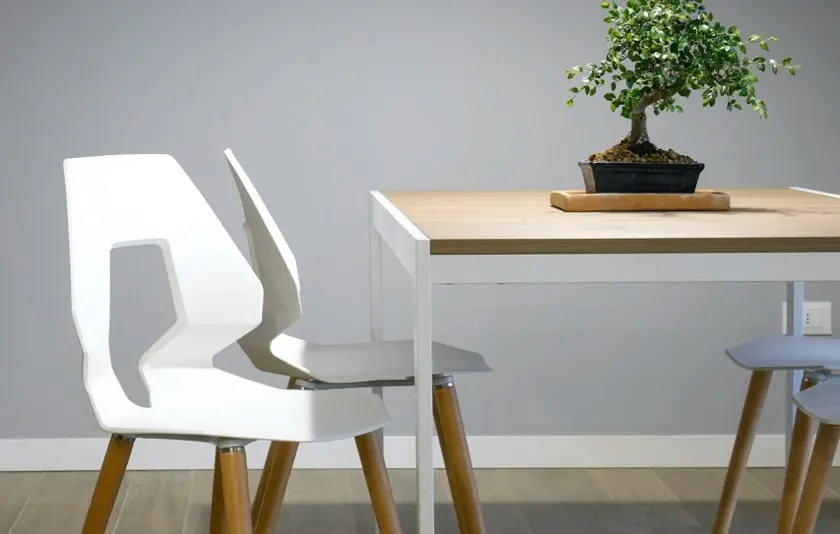 A room featuring a table in the center, with a plant placed on it and two chairs positioned next to it.